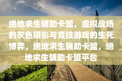 绝地求生辅助卡盟，虚拟战场的灰色阴影与竞技游戏的生死博弈，绝地求生辅助卡盟，绝地求生辅助卡盟平台