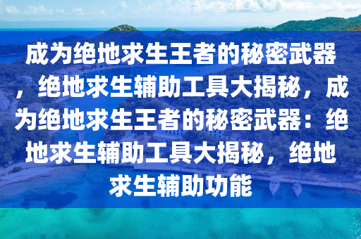 成为绝地求生王者的秘密武器，绝地求生辅助工具大揭秘，成为绝地求生王者的秘密武器：绝地求生辅助工具大揭秘，绝地求生辅助功能