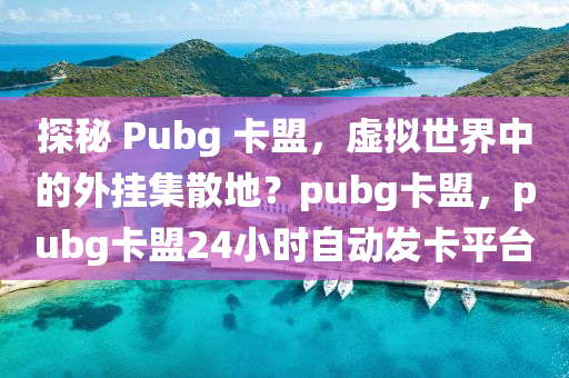 探秘 Pubg 卡盟，虚拟世界中的外挂集散地？pubg卡盟，pubg卡盟24小时自动发卡平台