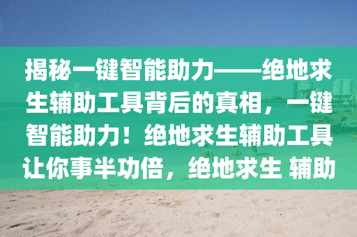 揭秘一键智能助力——绝地求生辅助工具背后的真相，一键智能助力！绝地求生辅助工具让你事半功倍，绝地求生 辅助