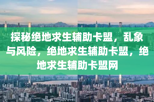 探秘绝地求生辅助卡盟，乱象与风险，绝地求生辅助卡盟，绝地求生辅助卡盟网