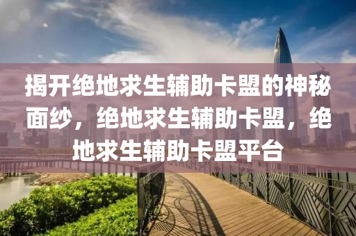 揭开绝地求生辅助卡盟的神秘面纱，绝地求生辅助卡盟，绝地求生辅助卡盟平台