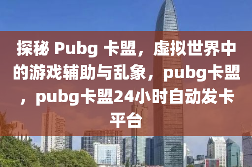 探秘 Pubg 卡盟，虚拟世界中的游戏辅助与乱象，pubg卡盟，pubg卡盟24小时自动发卡平台