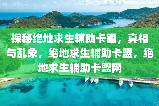 探秘绝地求生辅助卡盟，真相与乱象，绝地求生辅助卡盟，绝地求生辅助卡盟网