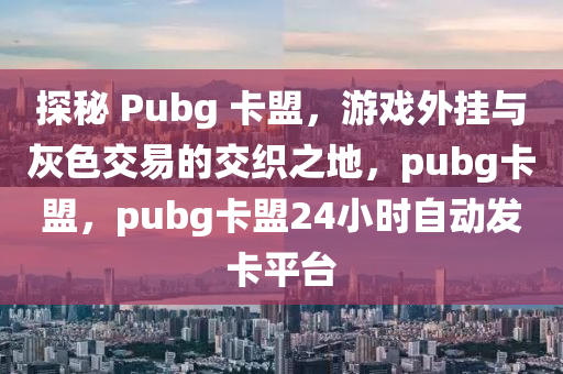 探秘 Pubg 卡盟，游戏外挂与灰色交易的交织之地，pubg卡盟，pubg卡盟24小时自动发卡平台