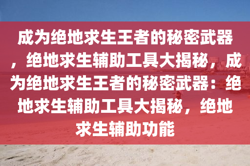 成为绝地求生王者的秘密武器，绝地求生辅助工具大揭秘，成为绝地求生王者的秘密武器：绝地求生辅助工具大揭秘，绝地求生辅助功能
