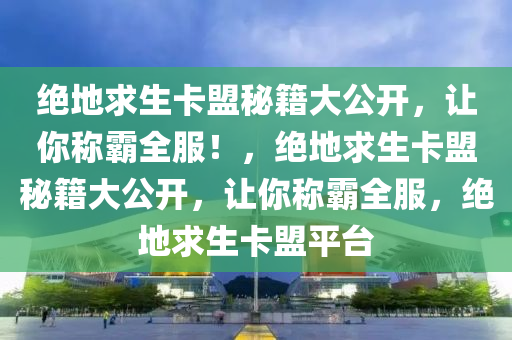 绝地求生卡盟秘籍大公开，让你称霸全服！，绝地求生卡盟秘籍大公开，让你称霸全服，绝地求生卡盟平台