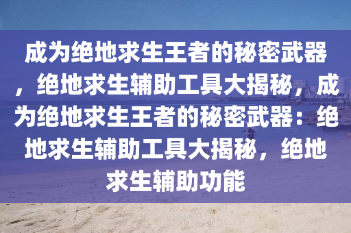 成为绝地求生王者的秘密武器，绝地求生辅助工具大揭秘，成为绝地求生王者的秘密武器：绝地求生辅助工具大揭秘，绝地求生辅助功能