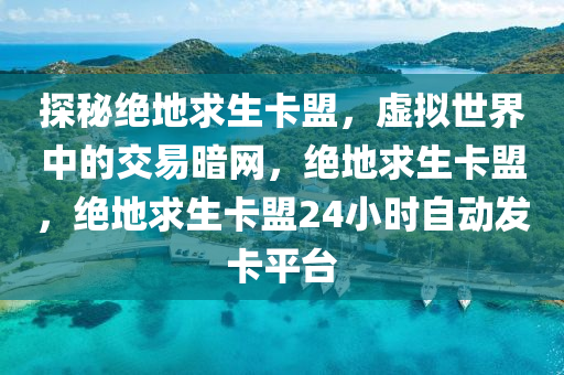 探秘绝地求生卡盟，虚拟世界中的交易暗网，绝地求生卡盟，绝地求生卡盟24小时自动发卡平台