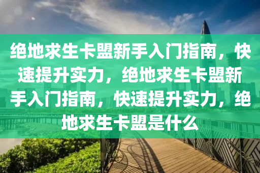 绝地求生卡盟新手入门指南，快速提升实力，绝地求生卡盟新手入门指南，快速提升实力，绝地求生卡盟是什么