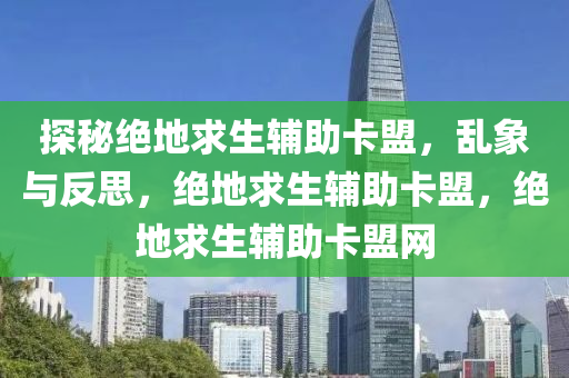 探秘绝地求生辅助卡盟，乱象与反思，绝地求生辅助卡盟，绝地求生辅助卡盟网