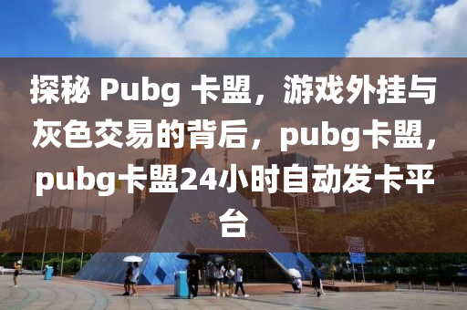 探秘 Pubg 卡盟，游戏外挂与灰色交易的背后，pubg卡盟，pubg卡盟24小时自动发卡平台