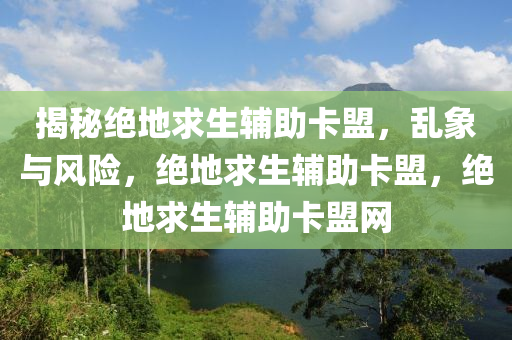 揭秘绝地求生辅助卡盟，乱象与风险，绝地求生辅助卡盟，绝地求生辅助卡盟网