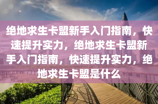 绝地求生卡盟新手入门指南，快速提升实力，绝地求生卡盟新手入门指南，快速提升实力，绝地求生卡盟是什么