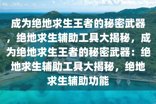 成为绝地求生王者的秘密武器，绝地求生辅助工具大揭秘，成为绝地求生王者的秘密武器：绝地求生辅助工具大揭秘，绝地求生辅助功能