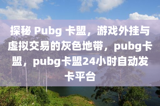 探秘 Pubg 卡盟，游戏外挂与虚拟交易的灰色地带，pubg卡盟，pubg卡盟24小时自动发卡平台