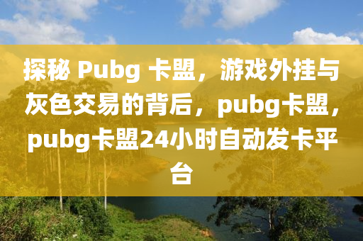 探秘 Pubg 卡盟，游戏外挂与灰色交易的背后，pubg卡盟，pubg卡盟24小时自动发卡平台