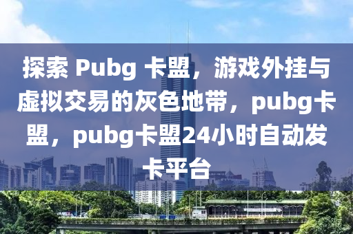 探索 Pubg 卡盟，游戏外挂与虚拟交易的灰色地带，pubg卡盟，pubg卡盟24小时自动发卡平台