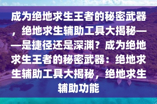 成为绝地求生王者的秘密武器，绝地求生辅助工具大揭秘——是捷径还是深渊？成为绝地求生王者的秘密武器：绝地求生辅助工具大揭秘，绝地求生辅助功能