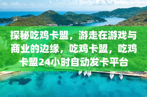 探秘吃鸡卡盟，游走在游戏与商业的边缘，吃鸡卡盟，吃鸡卡盟24小时自动发卡平台