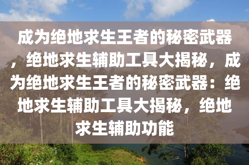 成为绝地求生王者的秘密武器，绝地求生辅助工具大揭秘，成为绝地求生王者的秘密武器：绝地求生辅助工具大揭秘，绝地求生辅助功能