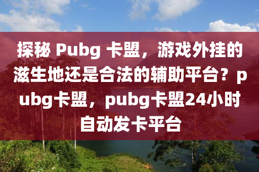 探秘 Pubg 卡盟，游戏外挂的滋生地还是合法的辅助平台？pubg卡盟，pubg卡盟24小时自动发卡平台