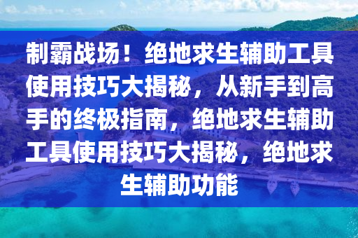 制霸战场！绝地求生辅助工具使用技巧大揭秘，从新手到高手的终极指南，绝地求生辅助工具使用技巧大揭秘，绝地求生辅助功能