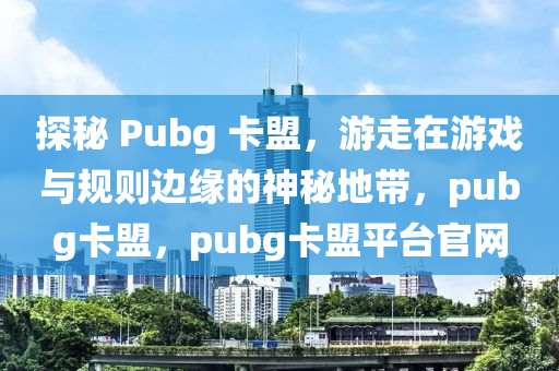 探秘 Pubg 卡盟，游走在游戏与规则边缘的神秘地带，pubg卡盟，pubg卡盟平台官网