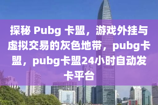 探秘 Pubg 卡盟，游戏外挂与虚拟交易的灰色地带，pubg卡盟，pubg卡盟24小时自动发卡平台