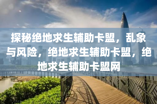 探秘绝地求生辅助卡盟，乱象与风险，绝地求生辅助卡盟，绝地求生辅助卡盟网