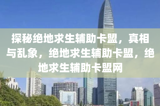 探秘绝地求生辅助卡盟，真相与乱象，绝地求生辅助卡盟，绝地求生辅助卡盟网