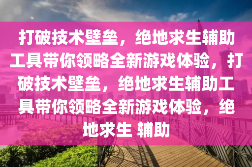 打破技术壁垒，绝地求生辅助工具带你领略全新游戏体验，打破技术壁垒，绝地求生辅助工具带你领略全新游戏体验，绝地求生 辅助