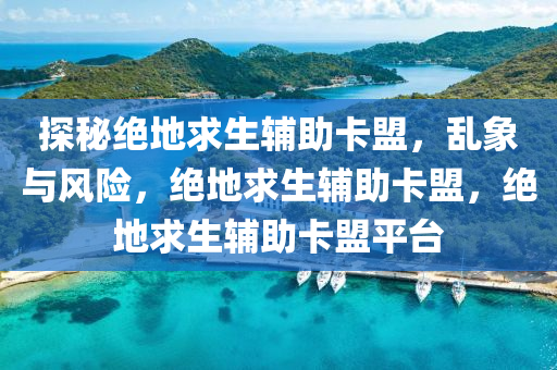 探秘绝地求生辅助卡盟，乱象与风险，绝地求生辅助卡盟，绝地求生辅助卡盟平台
