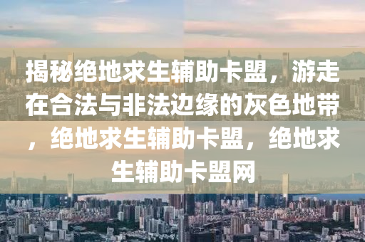 揭秘绝地求生辅助卡盟，游走在合法与非法边缘的灰色地带，绝地求生辅助卡盟，绝地求生辅助卡盟网