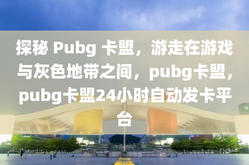 探秘 Pubg 卡盟，游走在游戏与灰色地带之间，pubg卡盟，pubg卡盟24小时自动发卡平台
