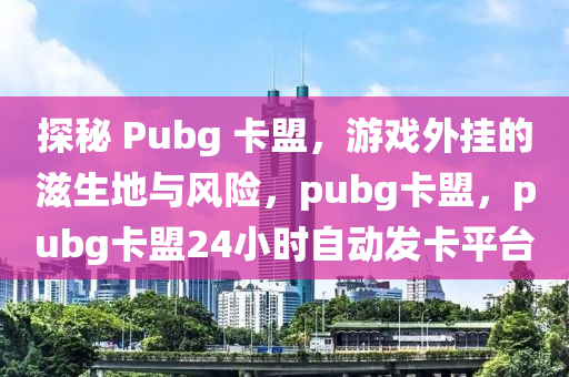 探秘 Pubg 卡盟，游戏外挂的滋生地与风险，pubg卡盟，pubg卡盟24小时自动发卡平台