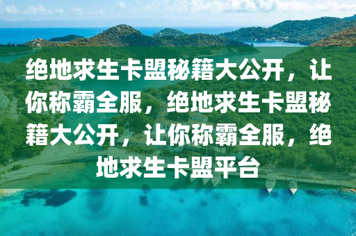 绝地求生卡盟秘籍大公开，让你称霸全服，绝地求生卡盟秘籍大公开，让你称霸全服，绝地求生卡盟平台