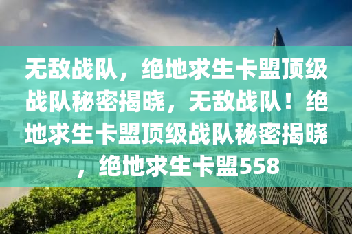 无敌战队，绝地求生卡盟顶级战队秘密揭晓，无敌战队！绝地求生卡盟顶级战队秘密揭晓，绝地求生卡盟558