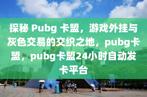 探秘 Pubg 卡盟，游戏外挂与灰色交易的交织之地，pubg卡盟，pubg卡盟24小时自动发卡平台
