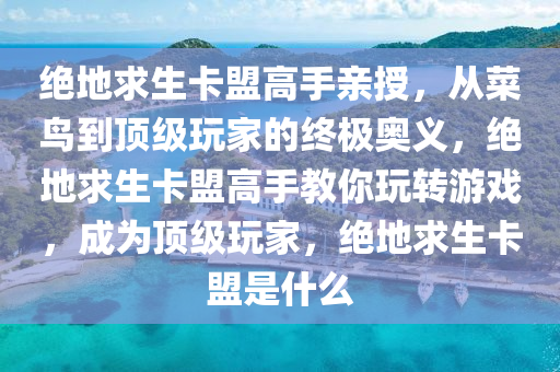 绝地求生卡盟高手亲授，从菜鸟到顶级玩家的终极奥义，绝地求生卡盟高手教你玩转游戏，成为顶级玩家，绝地求生卡盟是什么