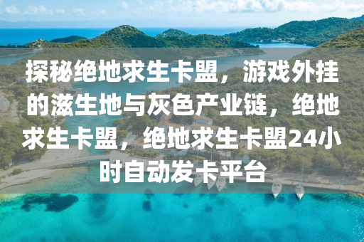 探秘绝地求生卡盟，游戏外挂的滋生地与灰色产业链，绝地求生卡盟，绝地求生卡盟24小时自动发卡平台