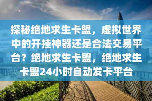 探秘绝地求生卡盟，虚拟世界中的开挂神器还是合法交易平台？绝地求生卡盟，绝地求生卡盟24小时自动发卡平台