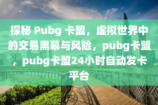 探秘 Pubg 卡盟，虚拟世界中的交易黑幕与风险，pubg卡盟，pubg卡盟24小时自动发卡平台