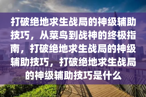 打破绝地求生战局的神级辅助技巧，从菜鸟到战神的终极指南，打破绝地求生战局的神级辅助技巧，打破绝地求生战局的神级辅助技巧是什么