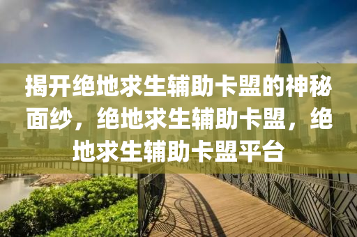 揭开绝地求生辅助卡盟的神秘面纱，绝地求生辅助卡盟，绝地求生辅助卡盟平台