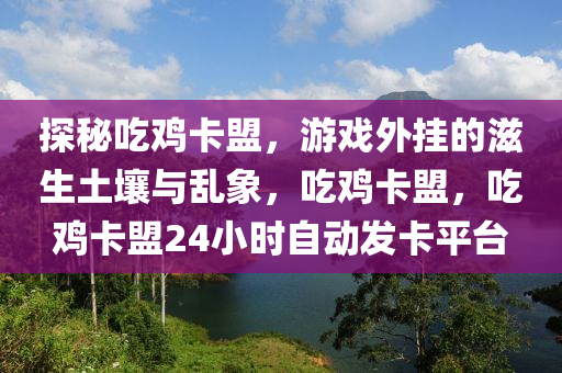 探秘吃鸡卡盟，游戏外挂的滋生土壤与乱象，吃鸡卡盟，吃鸡卡盟24小时自动发卡平台