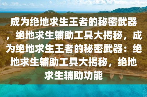 成为绝地求生王者的秘密武器，绝地求生辅助工具大揭秘，成为绝地求生王者的秘密武器：绝地求生辅助工具大揭秘，绝地求生辅助功能