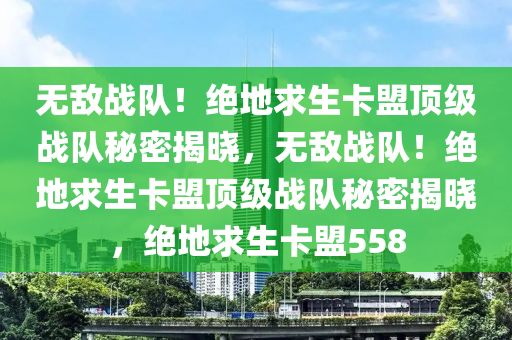 无敌战队！绝地求生卡盟顶级战队秘密揭晓，无敌战队！绝地求生卡盟顶级战队秘密揭晓，绝地求生卡盟558