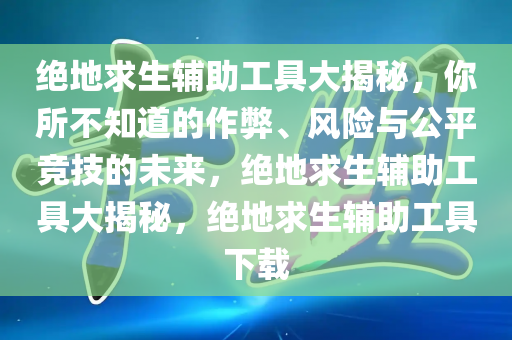 绝地求生辅助工具大揭秘，你所不知道的作弊、风险与公平竞技的未来，绝地求生辅助工具大揭秘，绝地求生辅助工具下载