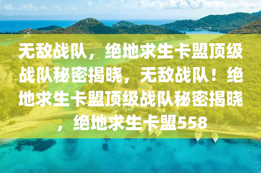 无敌战队，绝地求生卡盟顶级战队秘密揭晓，无敌战队！绝地求生卡盟顶级战队秘密揭晓，绝地求生卡盟558